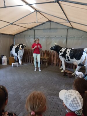 WhatsApp Image 2024-06-03 at 08.03.35